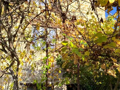 будинок за адресою Абрикосова вул.