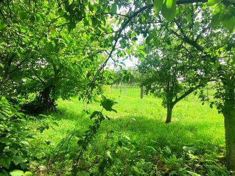 квартира по адресу 8-го Березня, 12