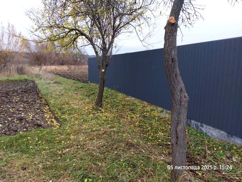 участок по адресу Волчинецкая ул.