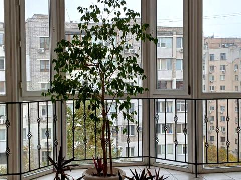 квартира по адресу Добровольцев ул. (Маршала Говорова), 1/2