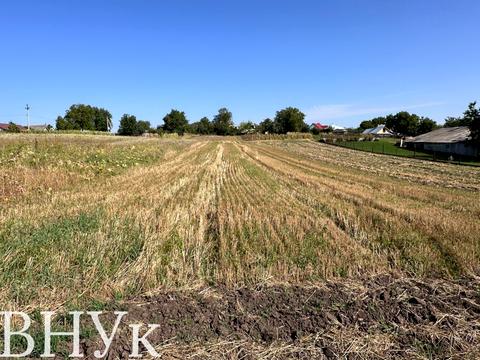 ділянка за адресою с. Великі Гаї, Зелена вул.