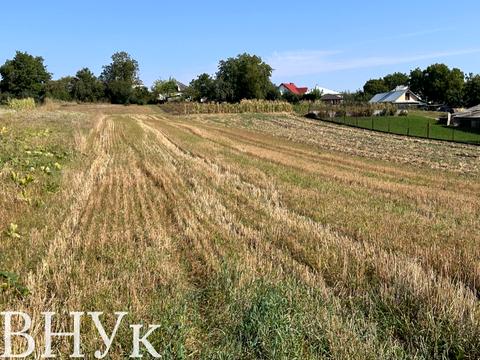 ділянка за адресою с. Великі Гаї, Зелена вул.