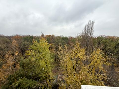 квартира по адресу Академика Глушкова просп., 59