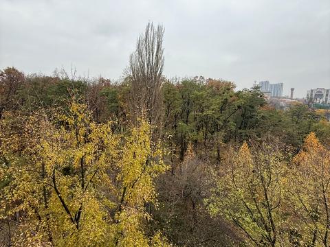 квартира по адресу Академика Глушкова просп., 59