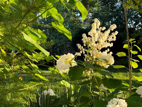 будинок за адресою Дніпро, Трансформаторна вул.