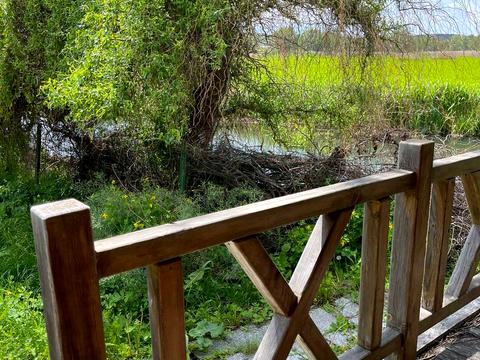 дом по адресу Озёрная ул., 31