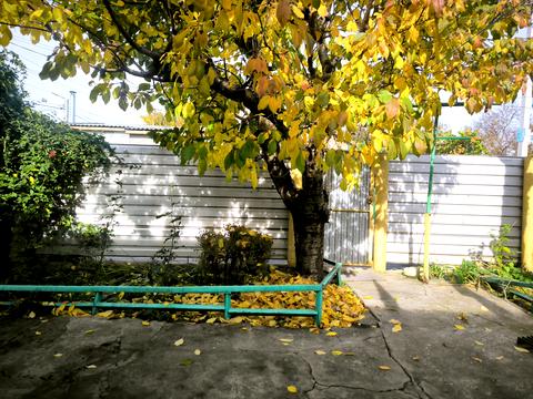 будинок за адресою Зелена, 1