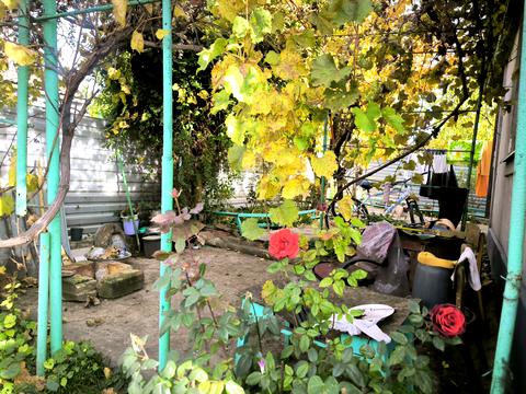 будинок за адресою Зелена, 1