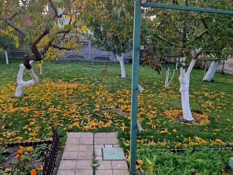 дом по адресу Руставели ул.