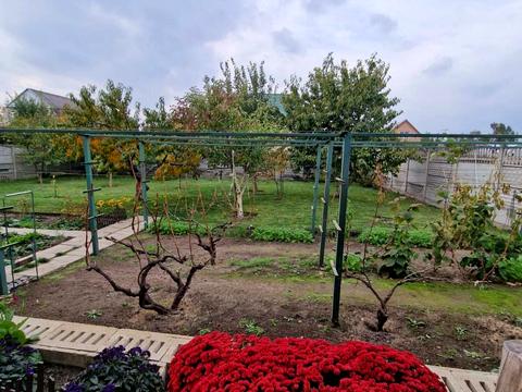 дом по адресу Руставели ул.