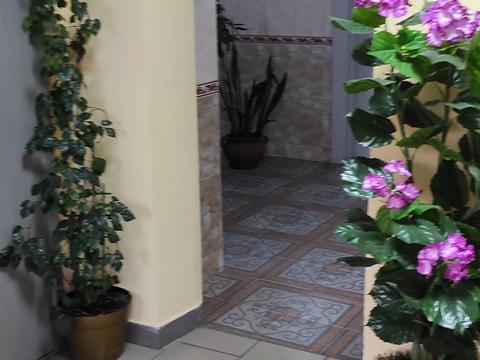 квартира за адресою Олени Пчілки вул., 4