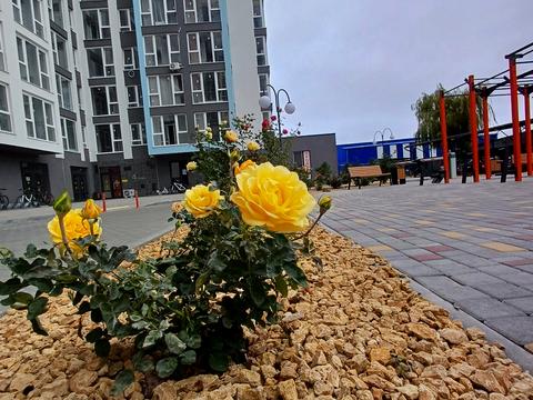 квартира за адресою Академіка Вільямса вул., 93