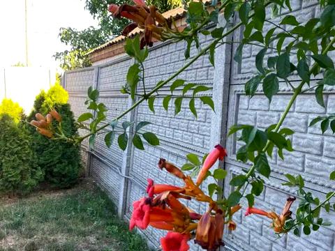 дом по адресу вул. Широка, 64