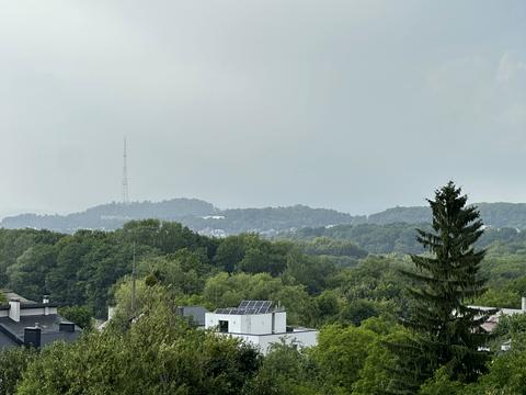 квартира за адресою Павела Йозефа Шафарика вул. (), 1