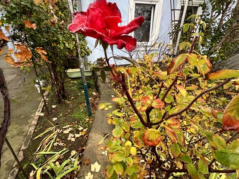 будинок за адресою провулок А