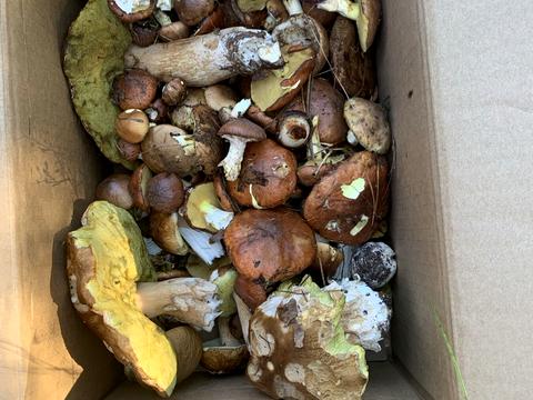 будинок за адресою Вокзальна, 8