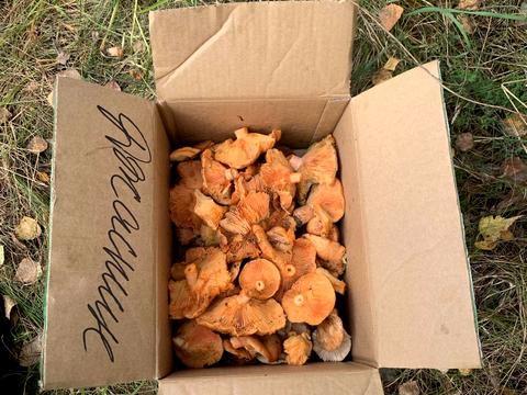 будинок за адресою Вокзальна, 8