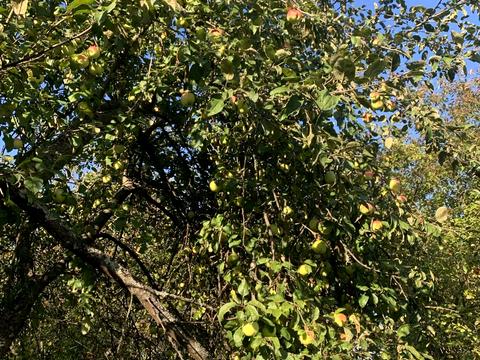 будинок за адресою Вокзальна, 8