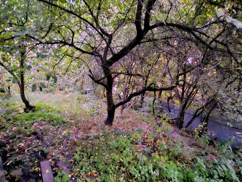 ділянка за адресою Миколи Соловцова вул.