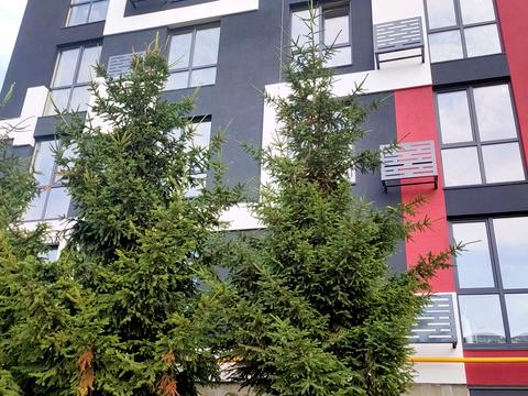 квартира за адресою Інститутська вул., 5