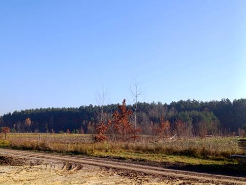 дом по адресу Княжа, 7