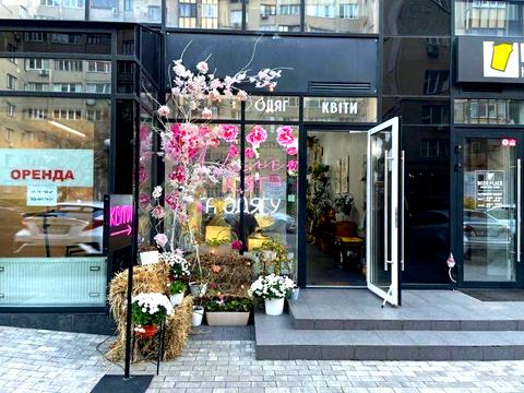 комерційна за адресою Левка Лук'яненка вул. (Маршала Тимошенка), 4
