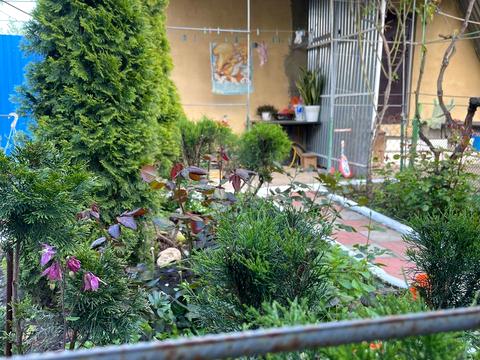 кімната за адресою смт. Таїрове, Пивоварна вул., 3