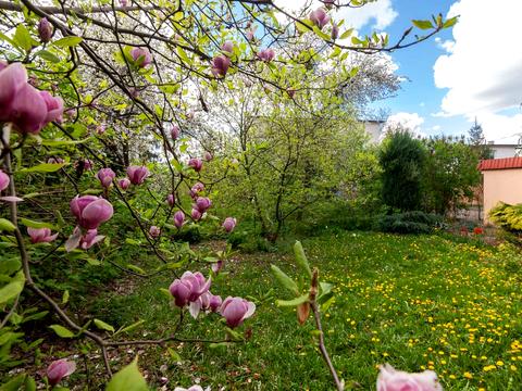 дом по адресу Херсонская ул. (Кибальчича), 1