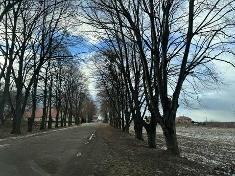 участок по адресу с. Горбаневка,  пер.