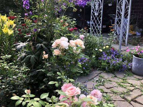 дом по адресу Чаплинская ул.