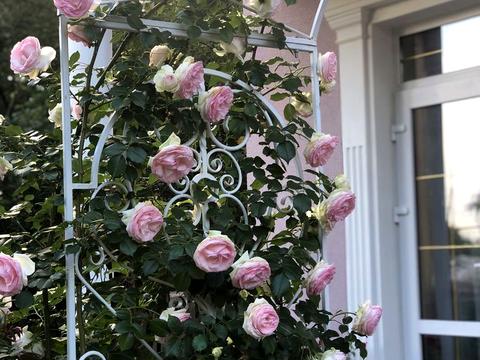 дом по адресу Чаплинская ул.