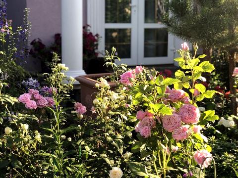 дом по адресу Чаплинская ул.