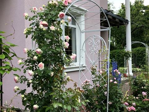 дом по адресу Чаплинская ул.