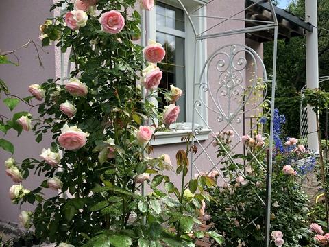 дом по адресу Чаплинская ул.