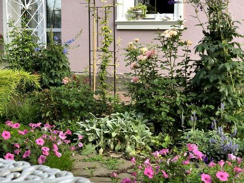 дом по адресу Чаплинская ул.