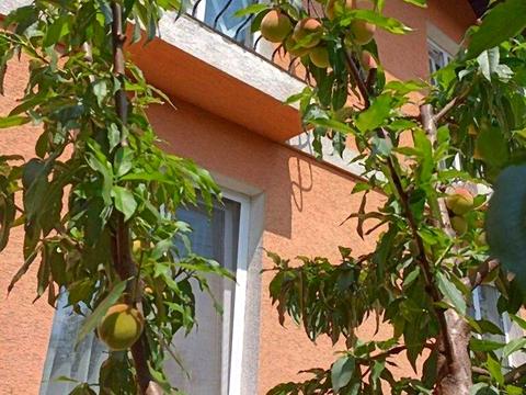 дом по адресу Стеценко ул., 30