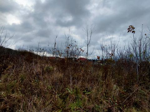 ділянка за адресою Тернопіль, Микулинецька вул.