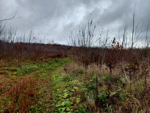 ділянка за адресою Тернопіль, Микулинецька вул.