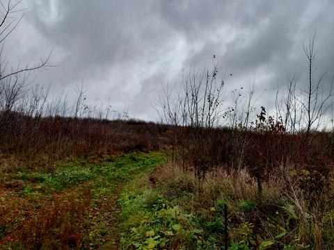 ділянка за адресою Тернопіль, Микулинецька вул.