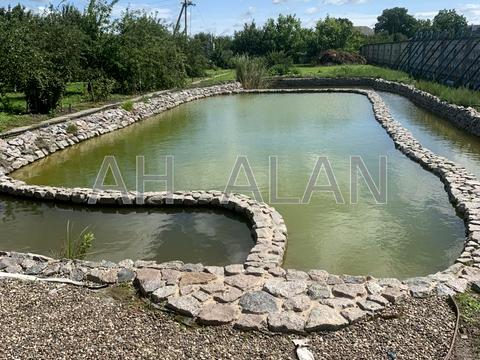 будинок за адресою січнева