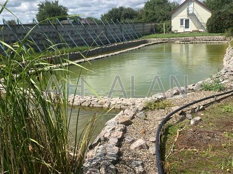 будинок за адресою січнева