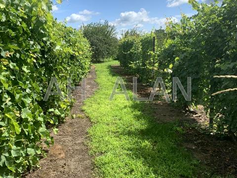 будинок за адресою січнева