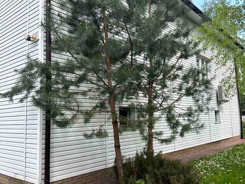 дом по адресу Шевченко пер., 5