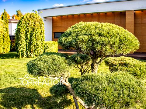 дом по адресу Київська