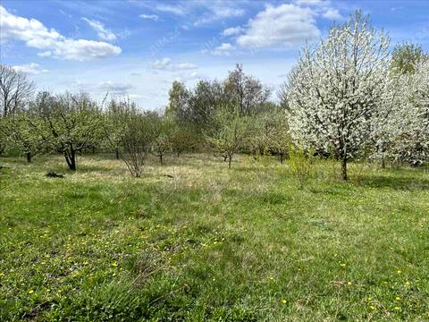 будинок за адресою Центральна