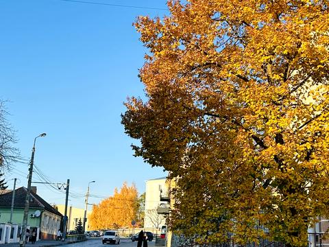 квартира за адресою Богдана Хмельницького вул., 14