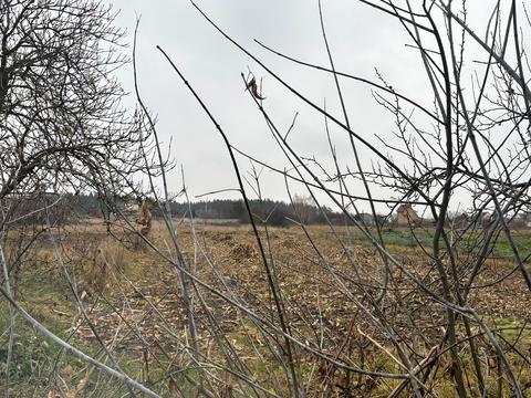 дом по адресу Миру