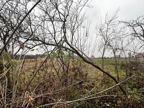 дом по адресу Миру