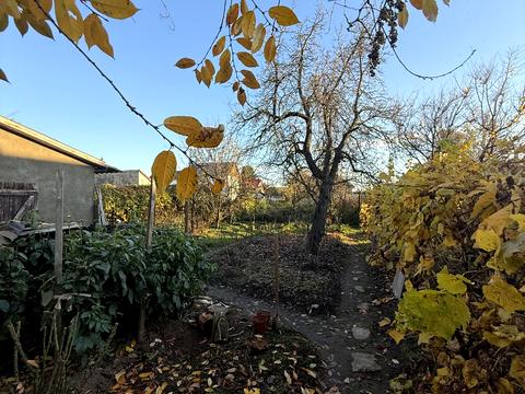 будинок за адресою Павловича