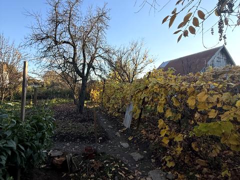 будинок за адресою Павловича